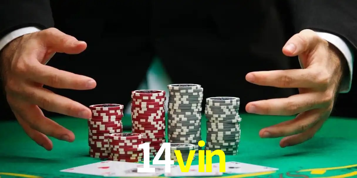 A Emoção da Loteria na 14vin: Uma Chance de Mudança de Vida
