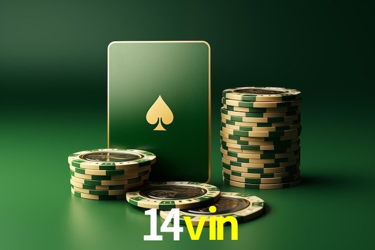 VIP Casino 14vin